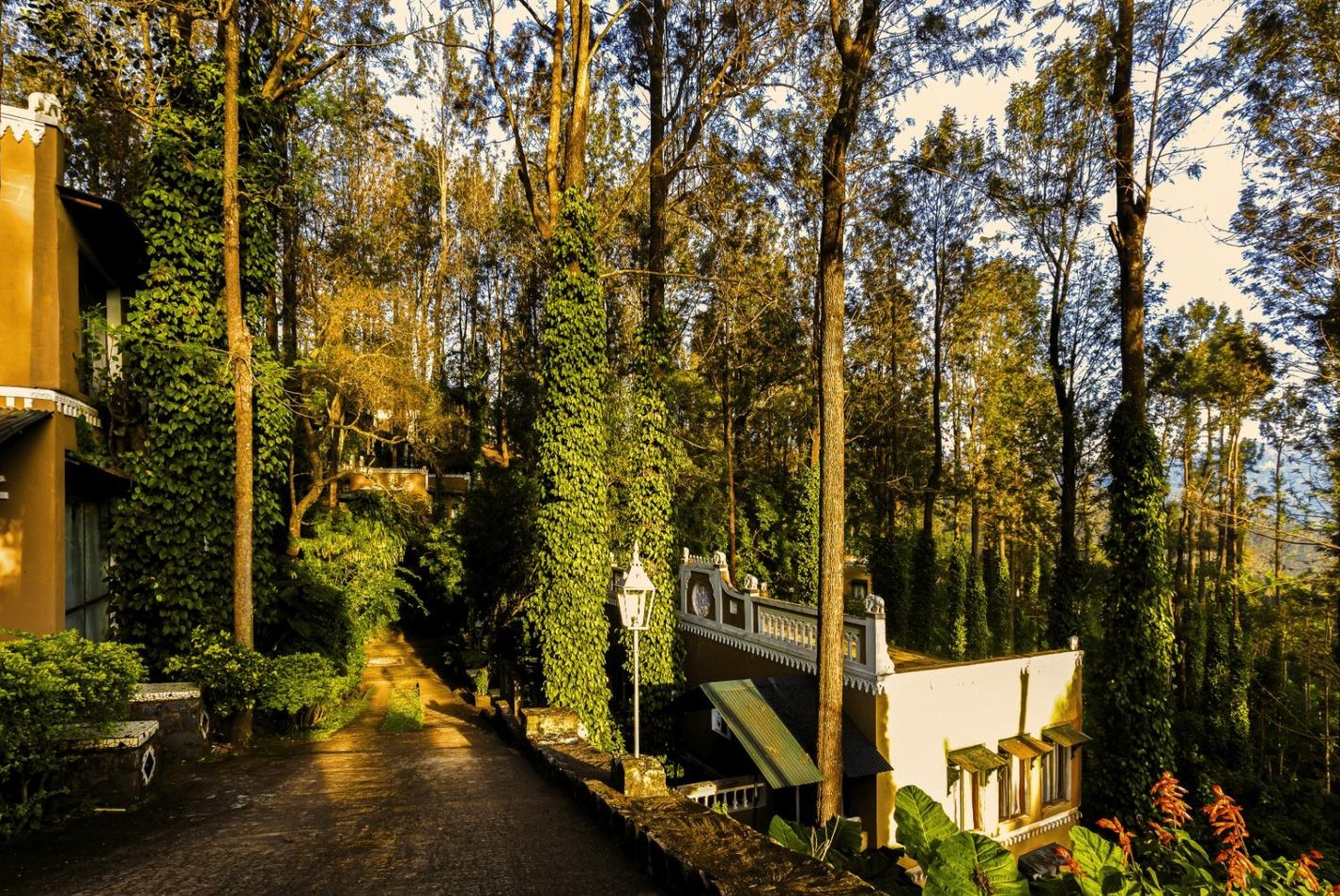 INDeco-Homepage-ECO- friendly