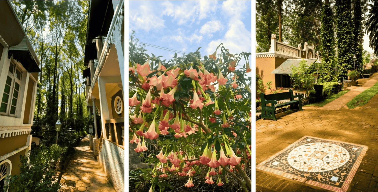 INDeco-Experience-image10