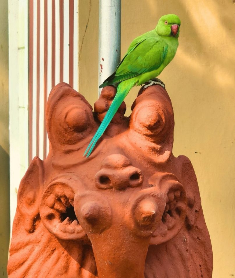 INDeco-Gallery-Swamimalai-image6