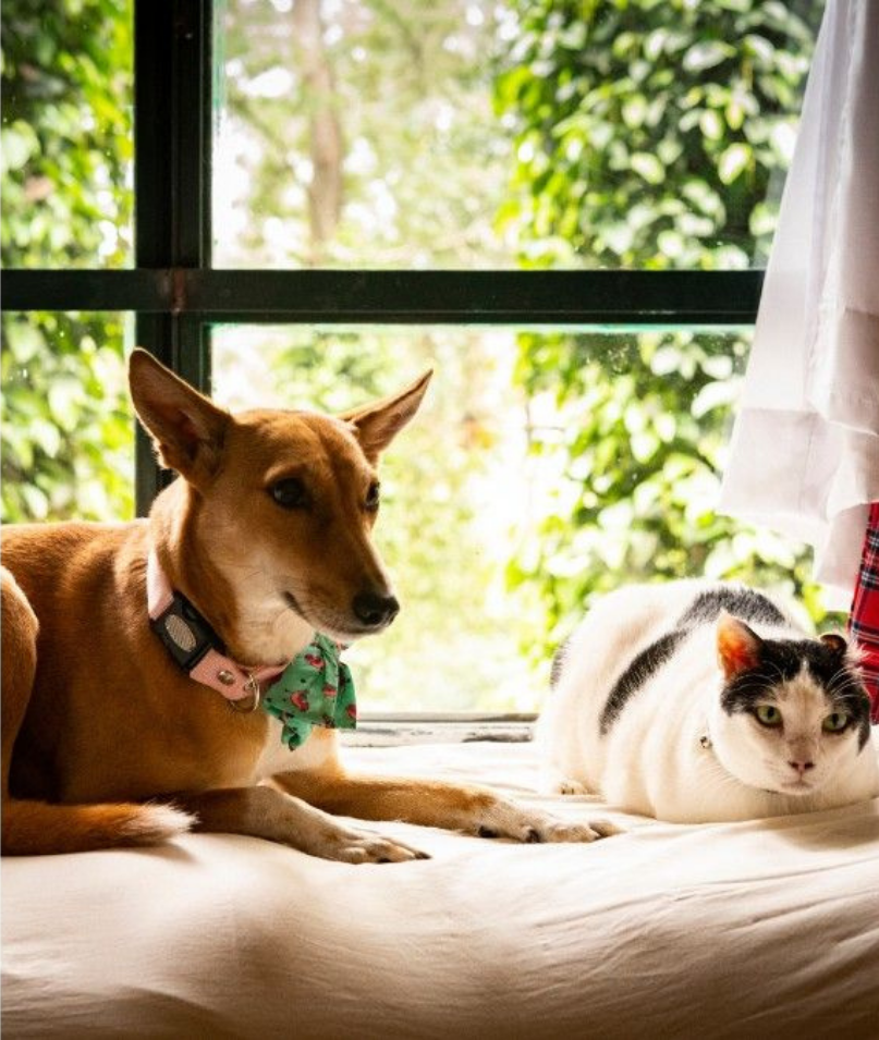 INDeco-Gallery-Yercaud-image18