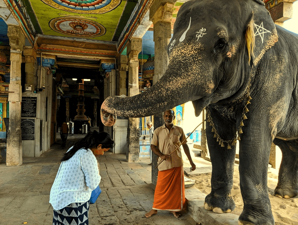 INDeco-Experiences-image4