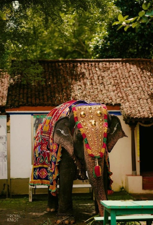 INDeco-Swamimalai-wedding-image10