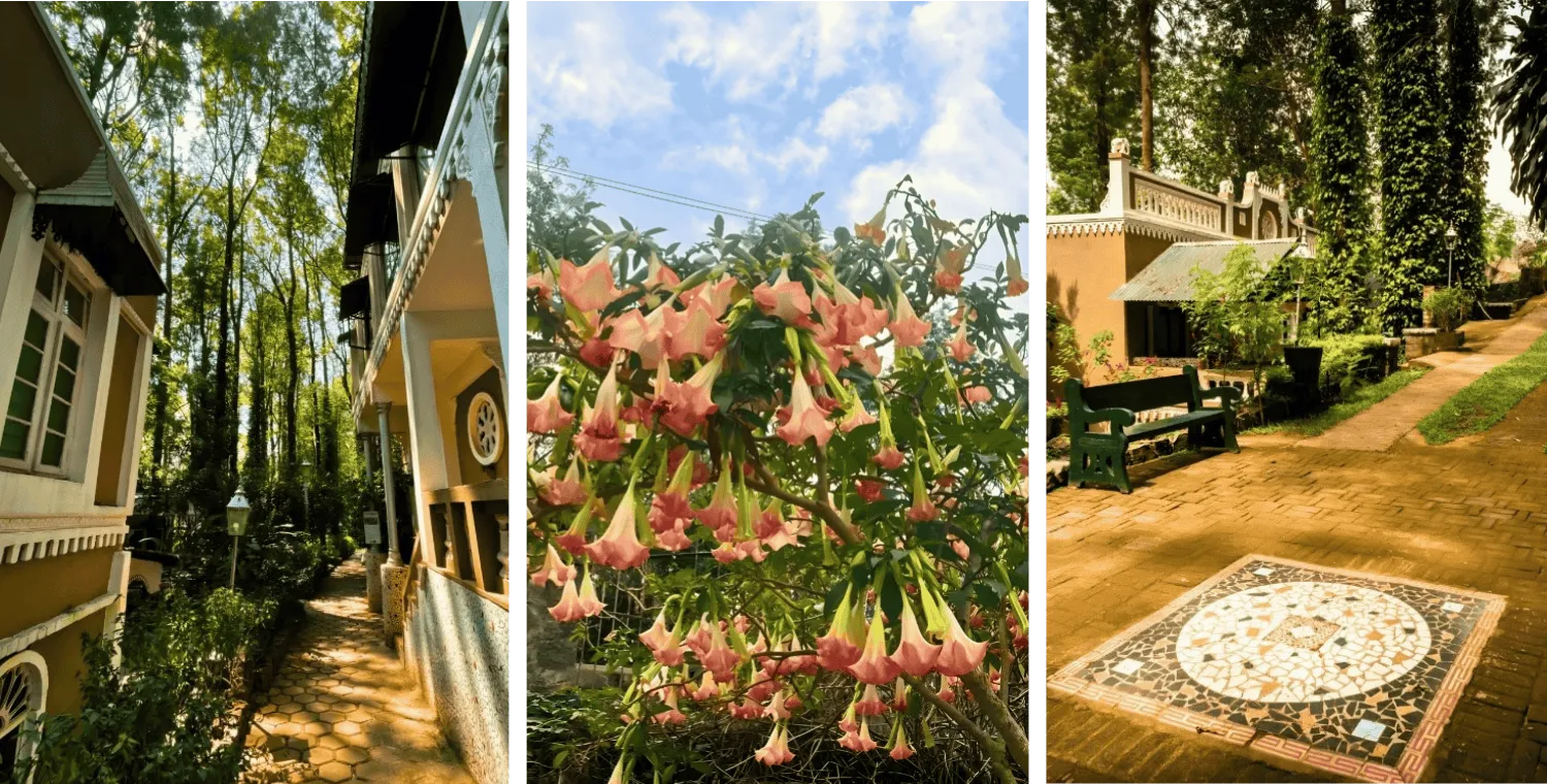 INDeco-Experience-image10