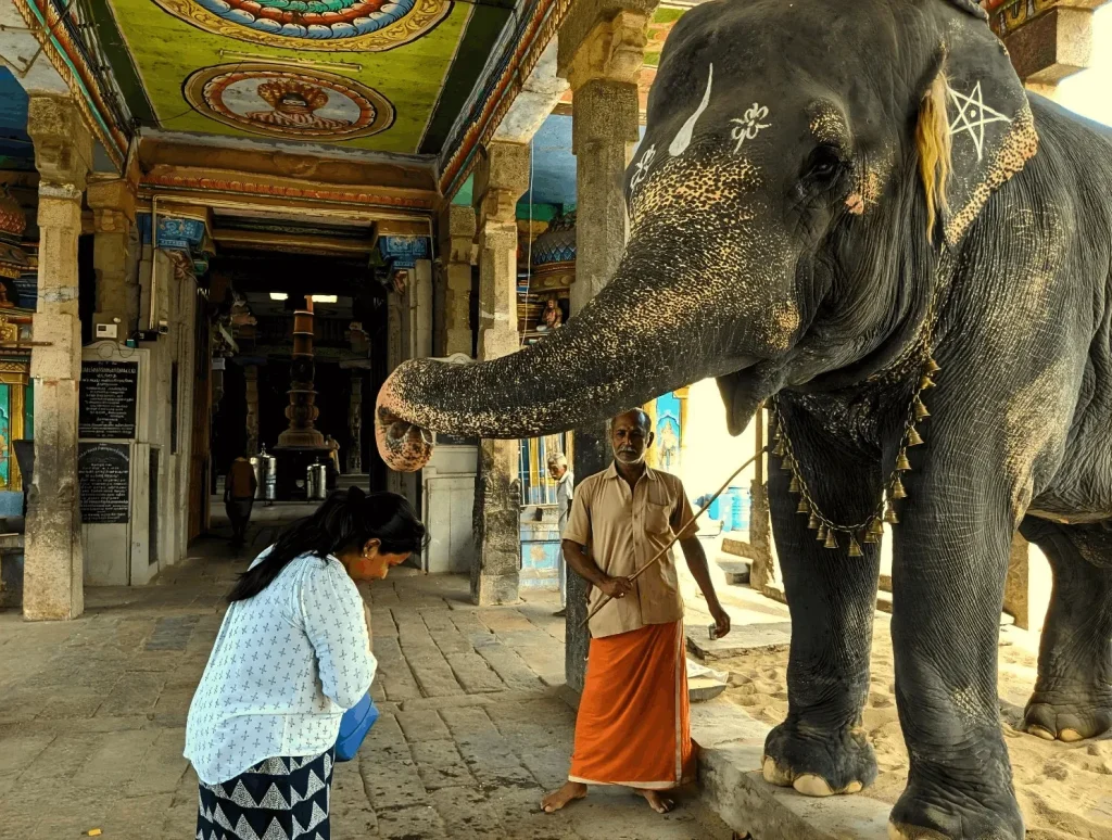 INDeco-Experiences-image4