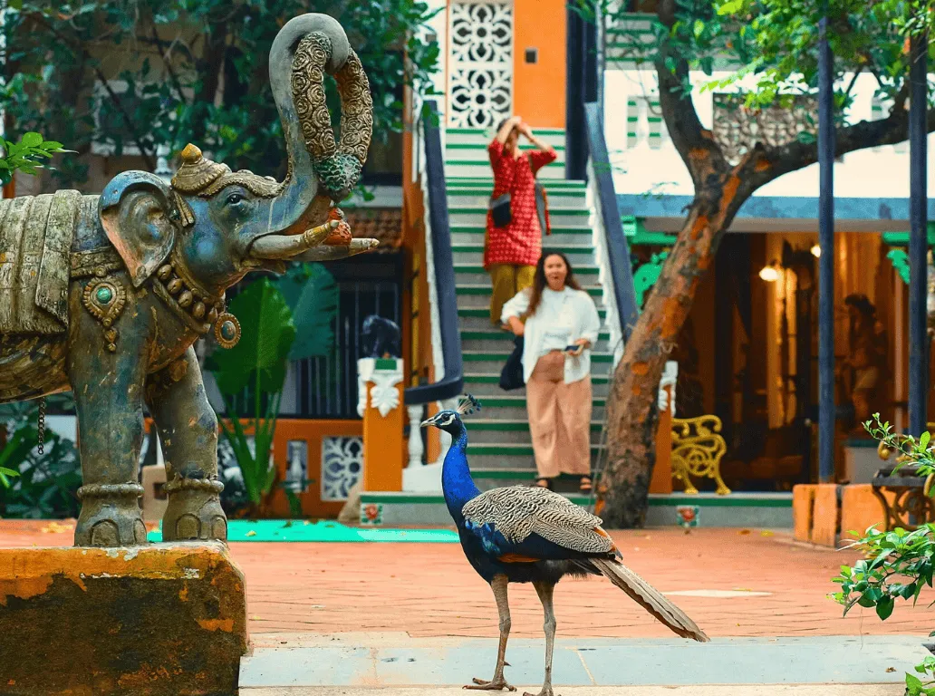 INDeco-Muesum-image7